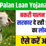 Bakri Palan Loan Yojana